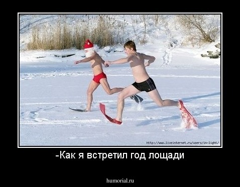 -Как я встретил год лощади