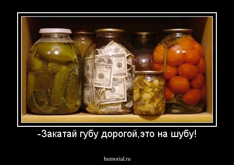-Закатай губу дорогой,это на шубу!