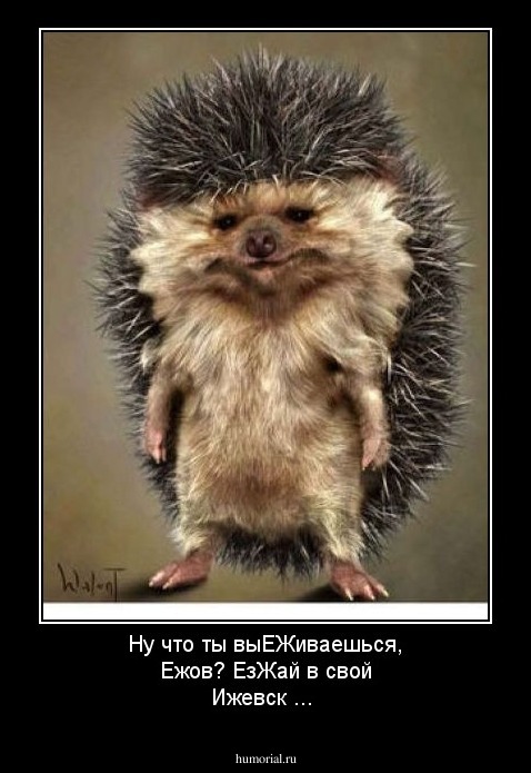 Ну что ты выЕЖиваешься, Ежов? ЕзЖай в свой Ижевск ...