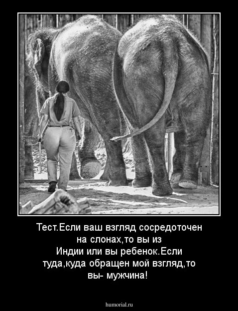 Тест.Если ваш взгляд сосредоточен на слонах,то вы из  Индии или вы ребенок.Если туда,куда обращен мой взгляд,то вы- мужчина!