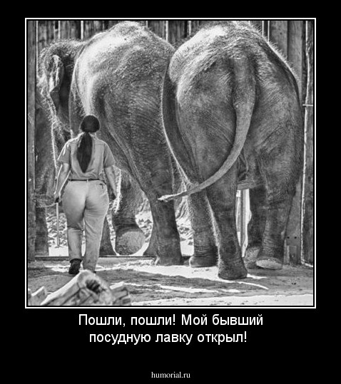 Пошли, пошли!  Мой бывший посудную лавку открыл! 