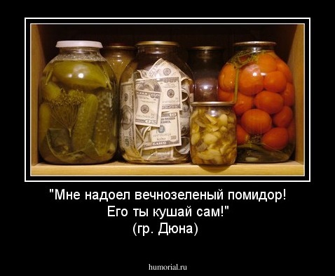 "Мне надоел вечнозеленый помидор! Его ты кушай сам!" (гр. Дюна)