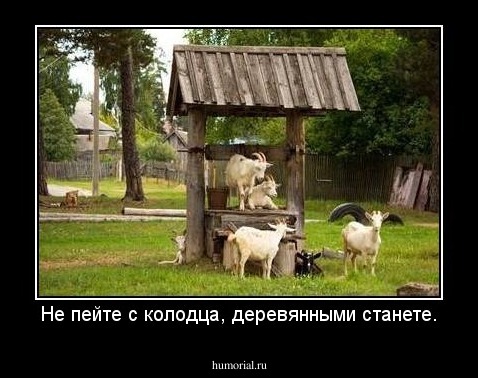 Не пейте с колодца, деревянными станете.