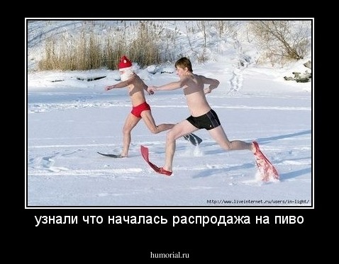 узнали что началась распродажа на пиво