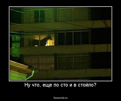 Ну что, еще по сто и в стойло?