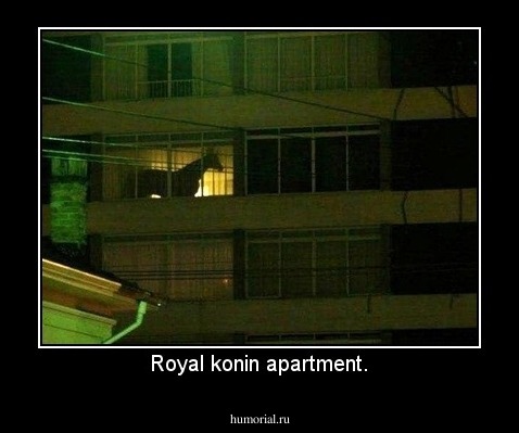 Royal konin apartment.