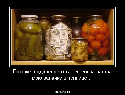 Похоже, подслеповатая тёщенька нашла мою заначку в теплице...