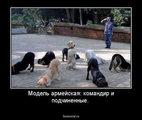 Модель армейская: командир и подчиненные.