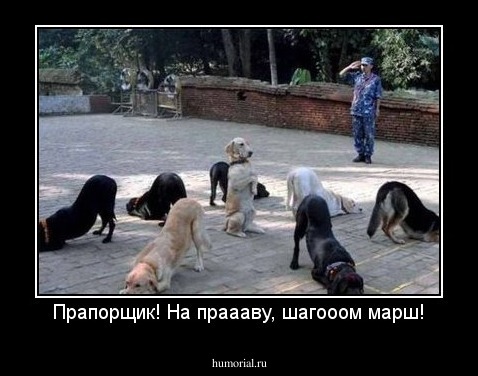 Прапорщик! На праааву, шагооом марш!