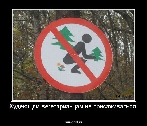 Худеющим вегетарианцам не присаживаться!
