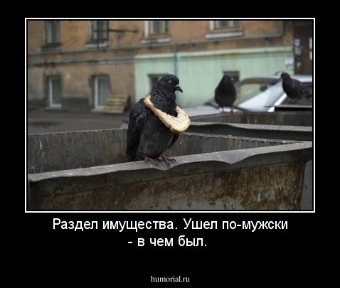 Раздел имущества. Ушел по-мужски - в чем был.