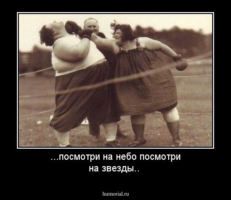 ...посмотри на небо посмотри на звезды.. 