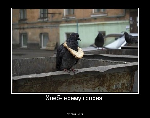 Хлеб- всему голова.