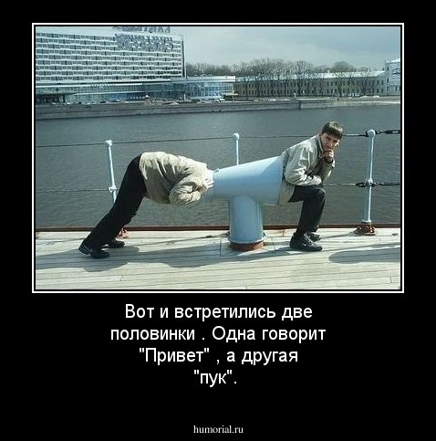 Вот и встретились две половинки . Одна говорит "Привет" , а другая "пук".