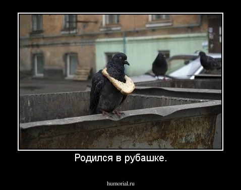 Родился в рубашке.