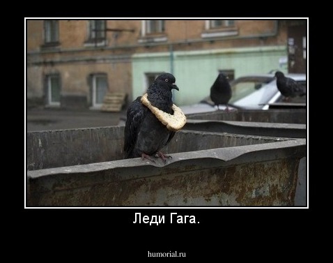 Леди Гага.
