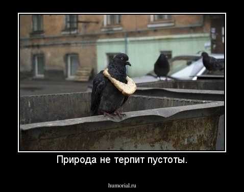 Природа не терпит пустоты.