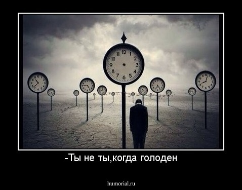 -Ты не ты,когда голоден