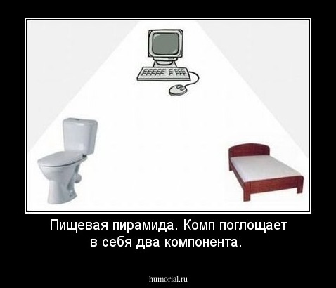 Пищевая пирамида.  Комп поглощает в себя два компонента. 