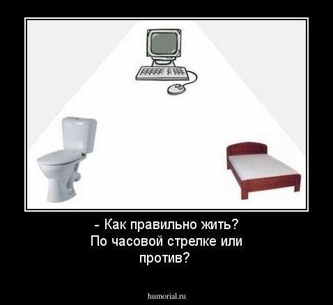 - Как правильно жить? По часовой стрелке или против?