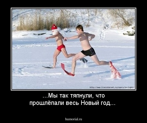 ...Мы так тяпнули, что прошлёпали весь Новый год...