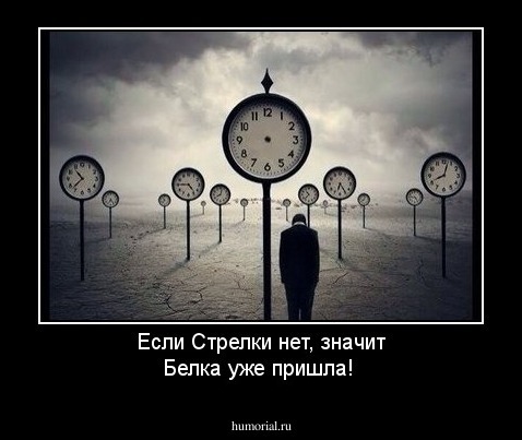 Если Стрелки нет, значит Белка уже пришла!