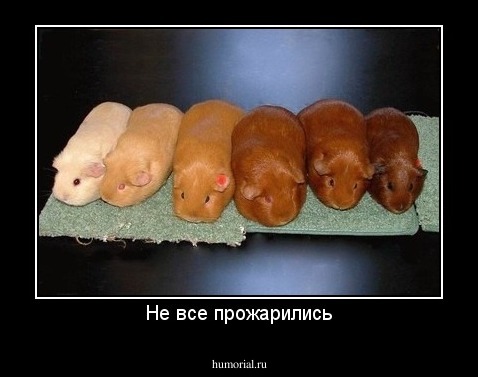 Не все прожарились