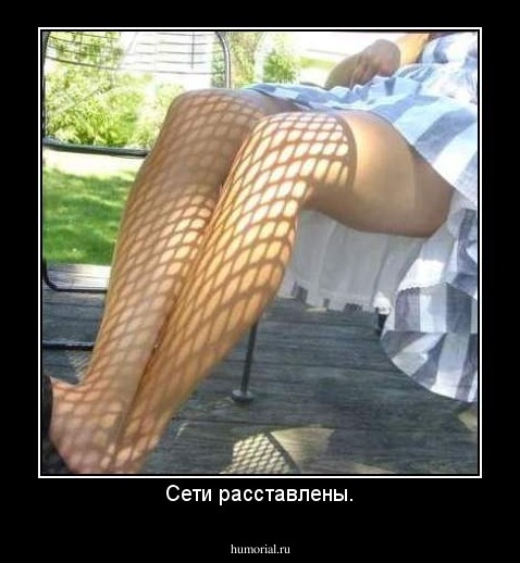Сети расставлены.