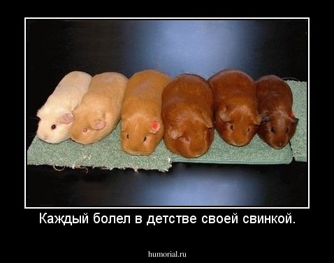 Каждый болел в детстве своей свинкой.