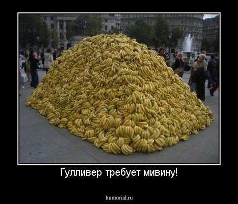 Гулливер требует мивину!