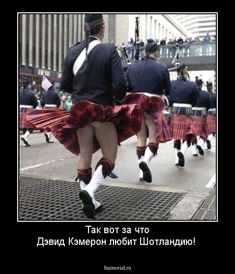 Так вот за что  Дэвид Кэмерон любит Шотландию!