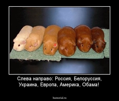 Слева направо: Россия, Белоруссия, Украина, Европа, Америка, Обама!