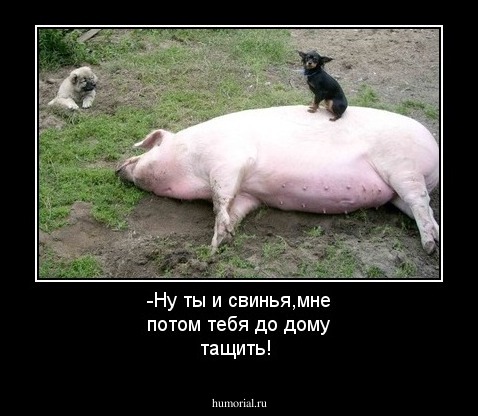 -Ну ты и свинья,мне потом тебя до дому тащить!
