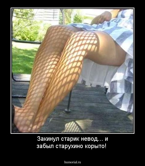 Закинул старик невод... и забыл старухино корыто!