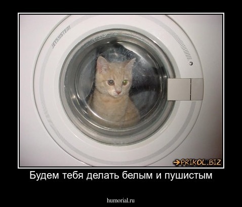 Будем тебя делать белым и пушистым