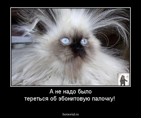 А не надо было тереться об эбонитовую палочку!