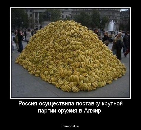 Россия осуществила поставку крупной партии оружия в Алжир