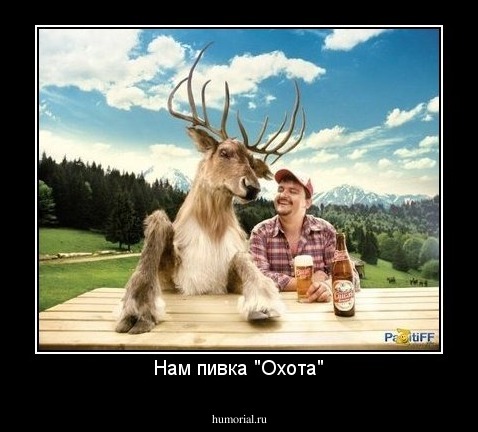 Нам пивка "Охота"