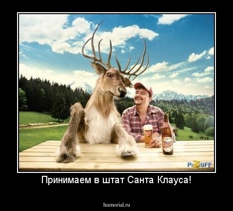 Принимаем в штат Санта Клауса!