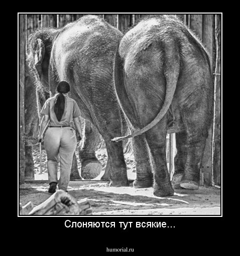 Слоняются тут всякие...
