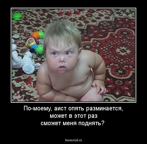 По-моему, аист опять разминается, может в этот раз сможет меня поднять?