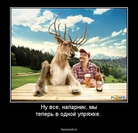 Ну все, напарник, мы теперь в одной упряжке.
