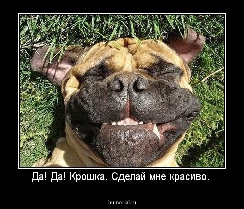 Да! Да! Крошка. Сделай мне красиво. 