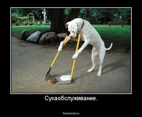 Сукаобслуживание.
