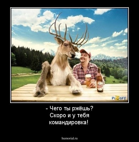 - Чего ты ржёшь? Скоро и у тебя командировка!