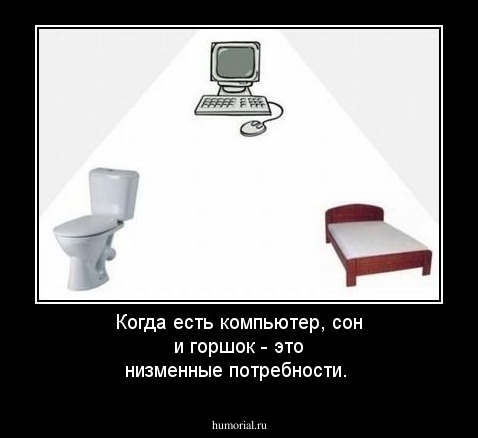 Когда есть компьютер,  сон и горшок - это низменные потребности.