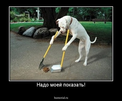 Надо моей показать!