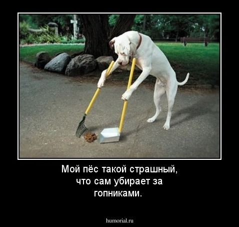Мой пёс такой страшный, что сам убирает за гопниками.