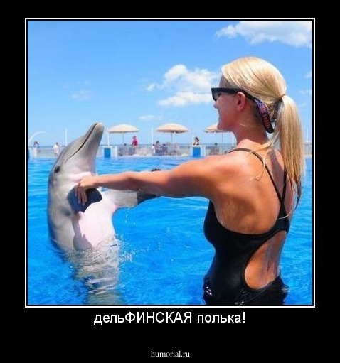 дельФИНСКАЯ полька!