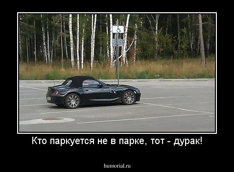 Кто паркуется не в парке, тот - дурак!
